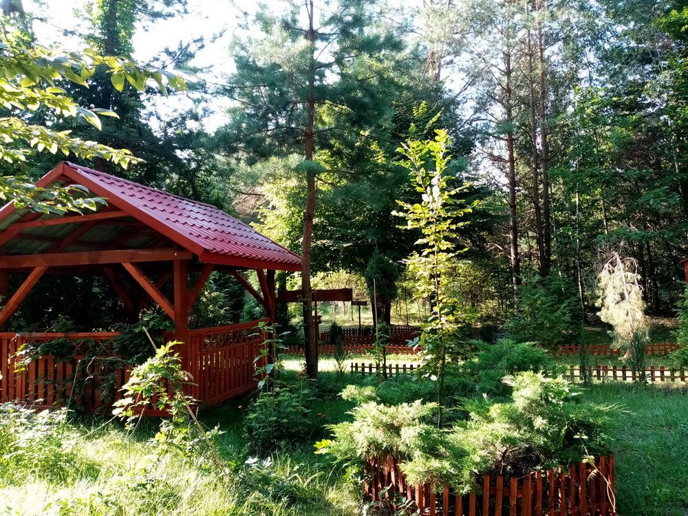 FRAGMENT ALEI COMENIUSA widok na DOM DOSKONAŁOŚCI