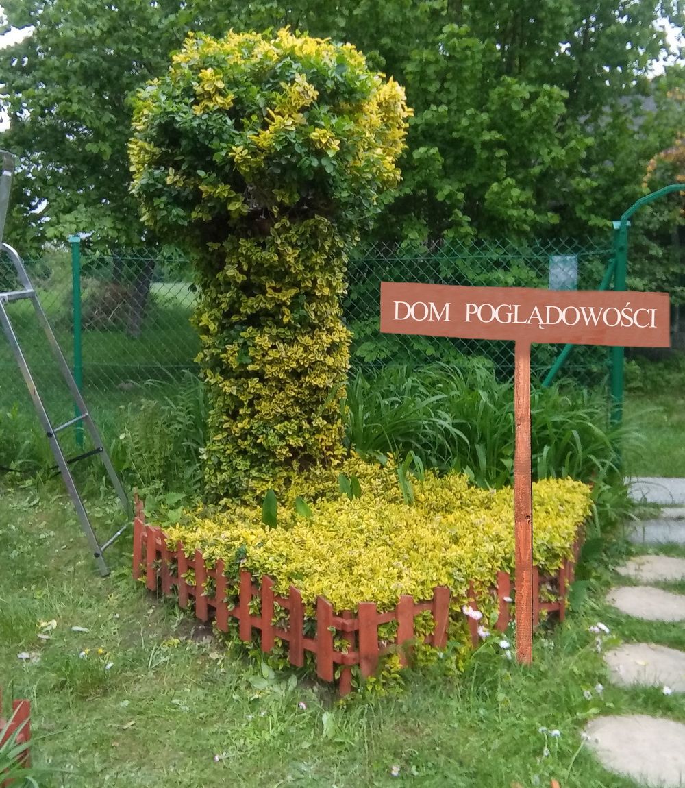 dom poglądowości