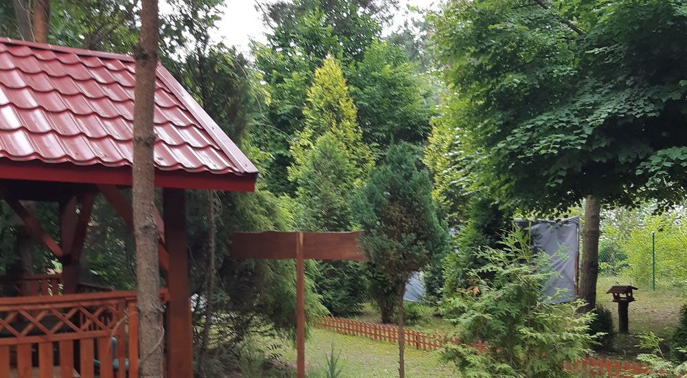 środkowy fragment alei comeniusa widoczny po lewej stronie dom samowiedzy i refleksji