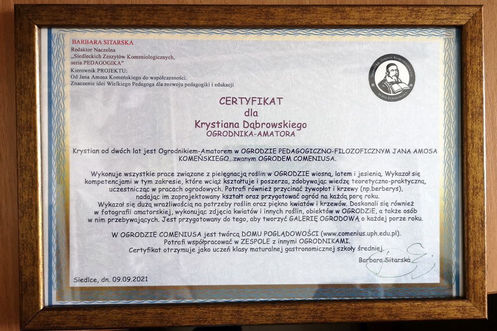 Certyfikat dla Krystiana podpis B