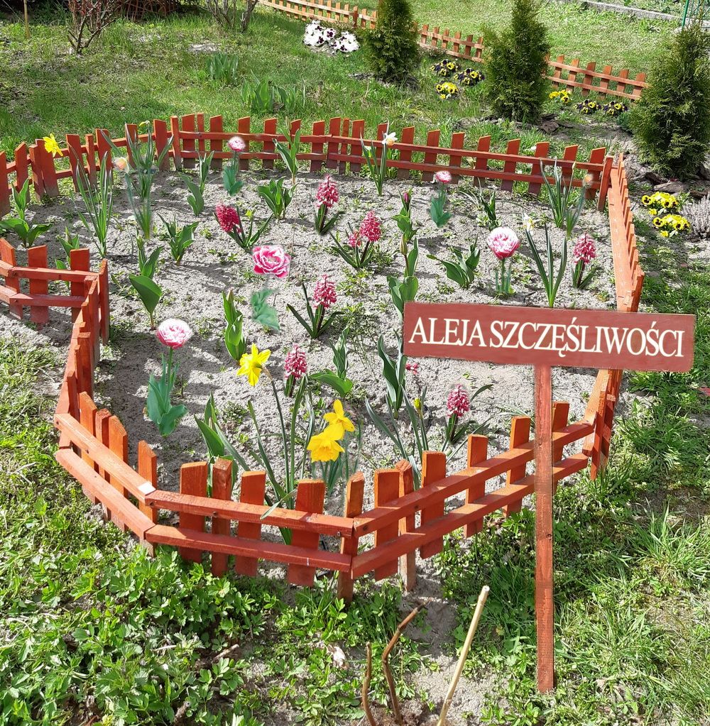 aleja szczęśliwości hiacynty i żonkile