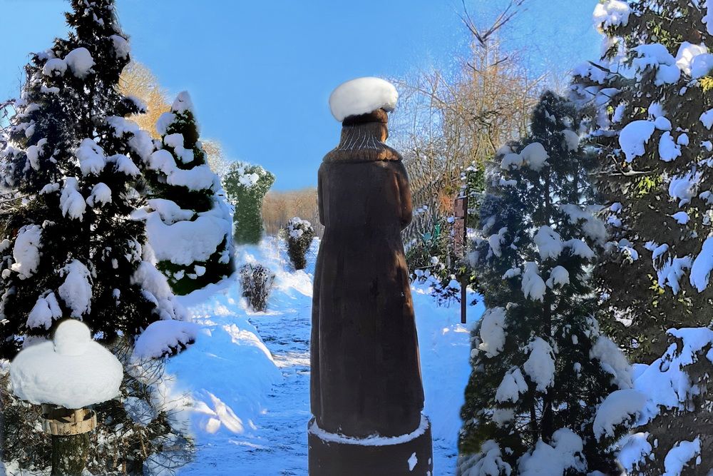 zdjecia ogrodu zima 05